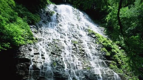 智慧高性能